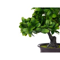 Decorative Plant Bonsai Plastic 27 x 28 x 14 cm (8 Units)