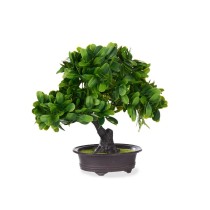 Decorative Plant Bonsai Plastic 27 x 28 x 14 cm (8 Units)